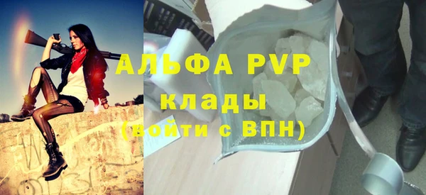 винт Абаза