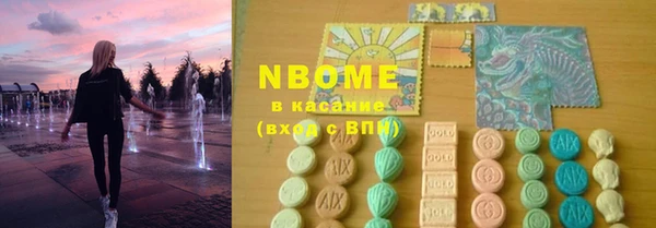 PSILOCYBIN Алзамай