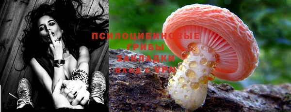 PSILOCYBIN Алзамай