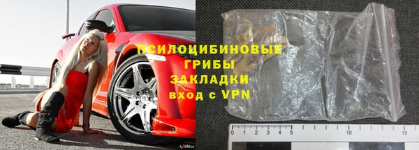 бошки Алексин