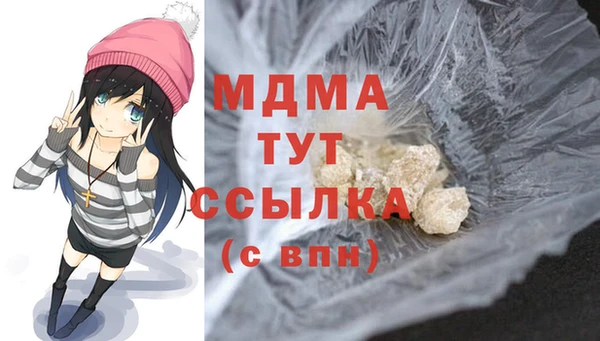 PSILOCYBIN Алзамай