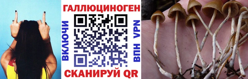 Галлюциногенные грибы прущие грибы  площадка официальный сайт  Шиханы 